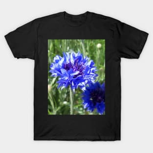 Cornflower T-Shirt